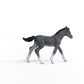 Schleich Horse Club, Realistic Horse Toys For Girls And Boys, Baby Trakehner Foal Toy Figurine, Ages 5+