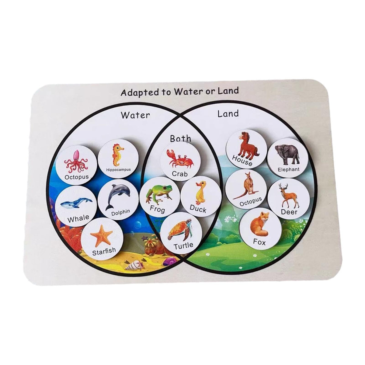 Ilsmysutra Wooden Matching Puzzle Early Educational Toys For Kindergarten Baby Children|Toys For Baby|Developmental Baby Toys