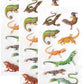 Playhouse Soft Puffy 9-Piece Sticker Sheet Sheet for Crafts, Trading & Collecting - Leapin Lizards 3 Packs