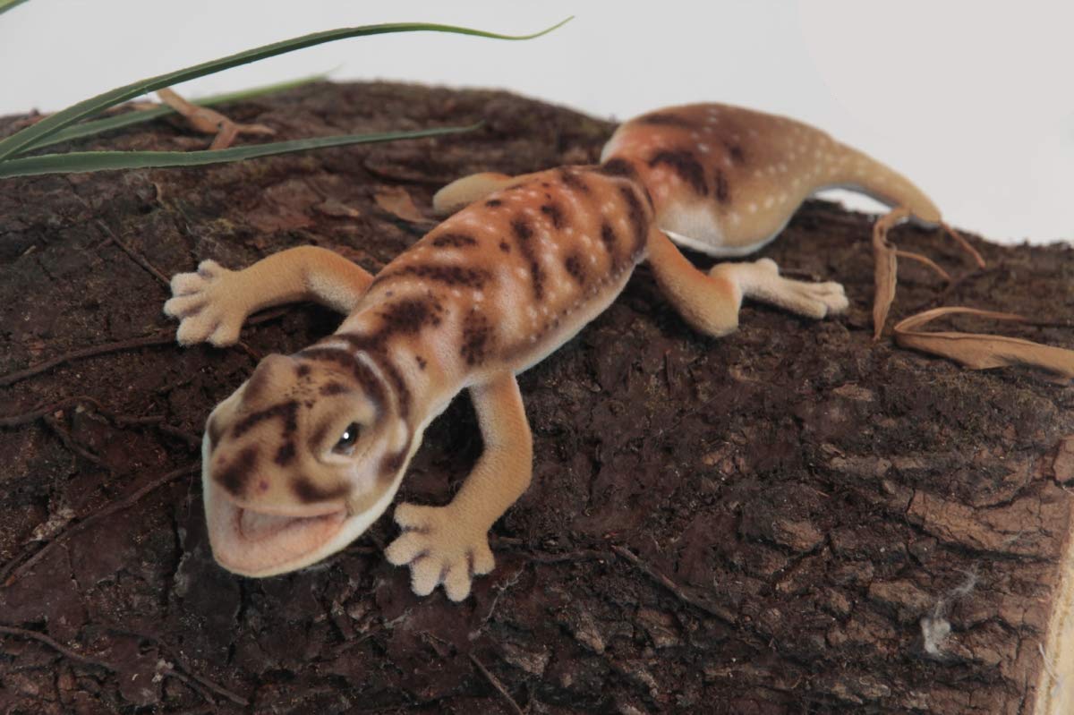 Hansa Toys Usa Gecko Finger Puppet, Tan, 25'
