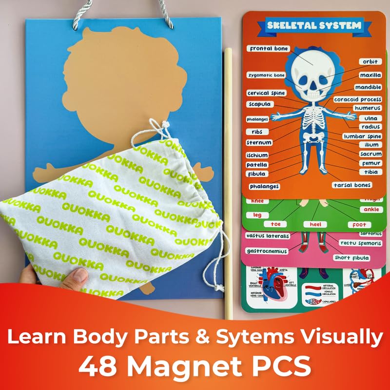 Quokka Magnetic Puzzles For Kids - Montessori Puzzles For Toddlers 3-5 - Preschool Game Learning Human Body Parts Anatomy Skelet