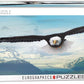 Eurographics Eagle Panoramic 1000Pc