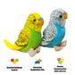WQY GroceryShop Budgerigar Plush Toy, 5.5" Soft Cotton Parakeet, Blue and Green, Small Stuffed Animal for Kids