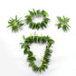 Hawaiian Hula Leaf Grass Skirt Necklaces Bracelets Headband Luau Party Supplies (5Pcs) Green