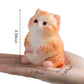 Cute Cat Taba Squishy Kit - Silicone Fat Kitty Fidget Toys For Kids (Orange)