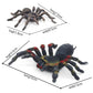 Sienon Realistic Spider Animal Figures- 2Pcs Lifelike Insect Figurines Toys Giant Whiteknee Tarantula Action Model For Kids Educ