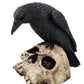 PTC 5 Inch Halloween Black Raven on Skeleton Skull Statue Figurine