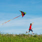 Mint's Colorful Life Delta Kite - Easy to Fly, Large Multicolor Polyester Kite with 3 Ribbons & 300ft String, Model 32709293312