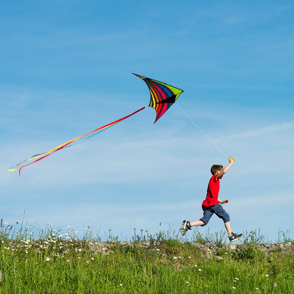 Mint's Colorful Life Delta Kite - Easy to Fly, Large Multicolor Polyester Kite with 3 Ribbons & 300ft String, Model 32709293312