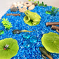 Pond Life Cycle Sensory Kit And Water Play