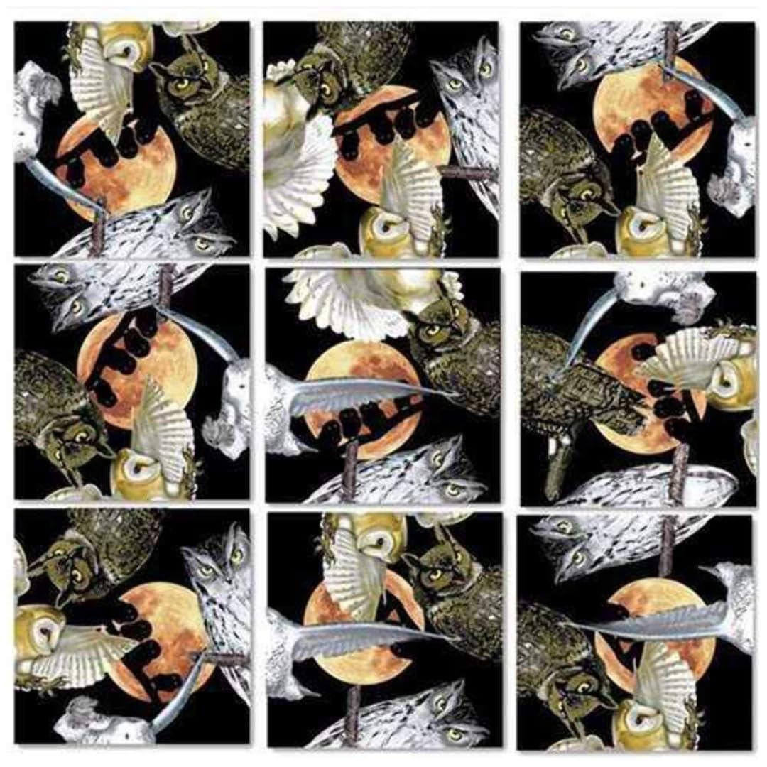 B Dazzle Owls Scramble Squares 9 Piece Puzzle