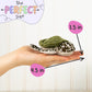 Forest & Twelfth Stuffed Sea Turtle, Single Mini Stuffed Animal Plush Toy For Kids, Ocean Party Favors And Goody Bags, Classroom Treasure Box Prizes, Stocking Stuffers (Sea Turtle)