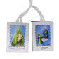 White Scapulars Catholic Necklace, Full Color Our Lady Of Mt Carmel And St Simon Stock Scapular, 5 Pack