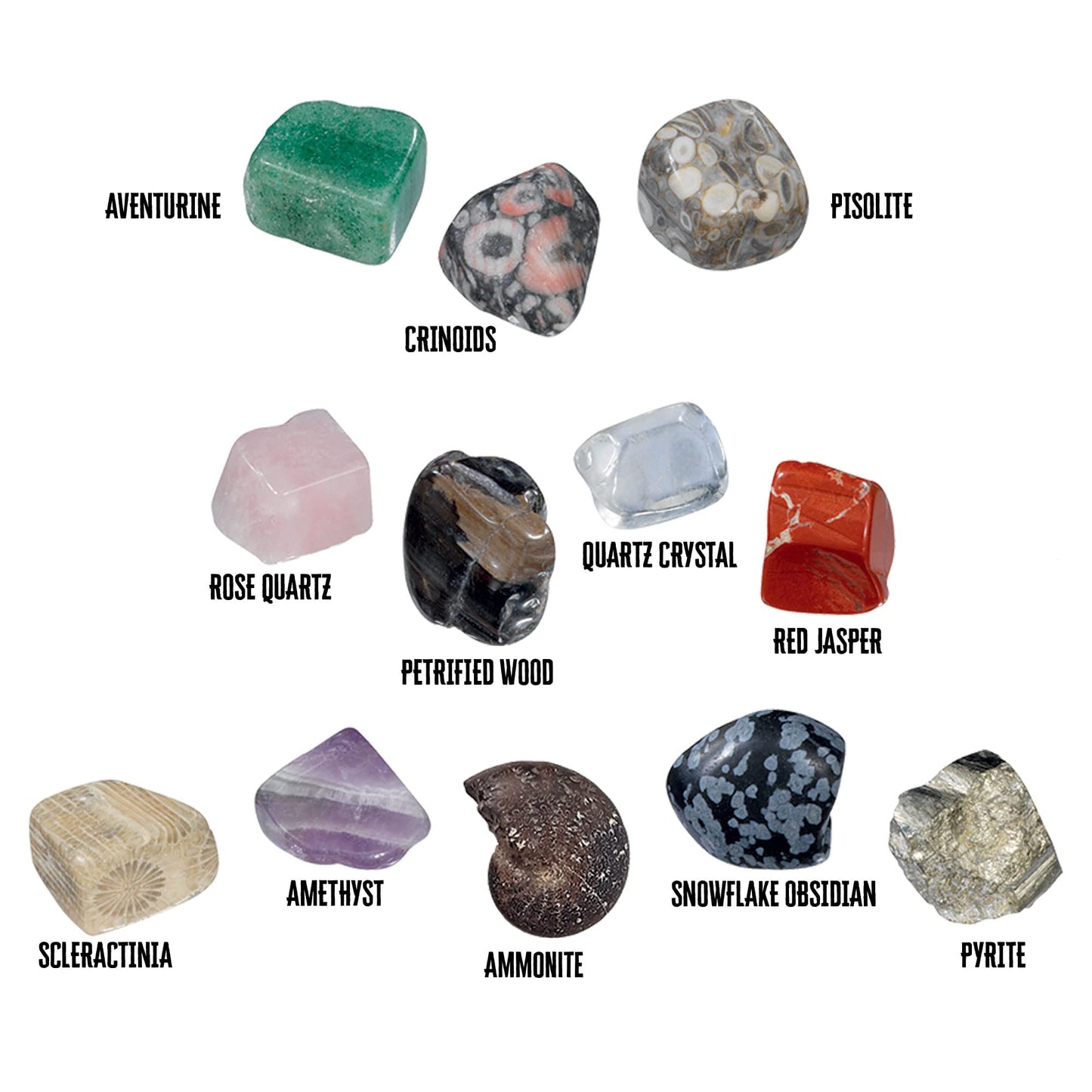 Thames & Kosmos I Dig It! Rocks & Fossils Excavation Set | 24 Kits, Mini Size, Plastic, Collect 12 Unique Specimens, Model 601607-2LBU