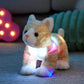 Glow Guards 14'' Light Up Kitty Stuffed Animal Soft Realistic Cat Plush Toy With Led Night Lights Glow Birthday Children'S Day G