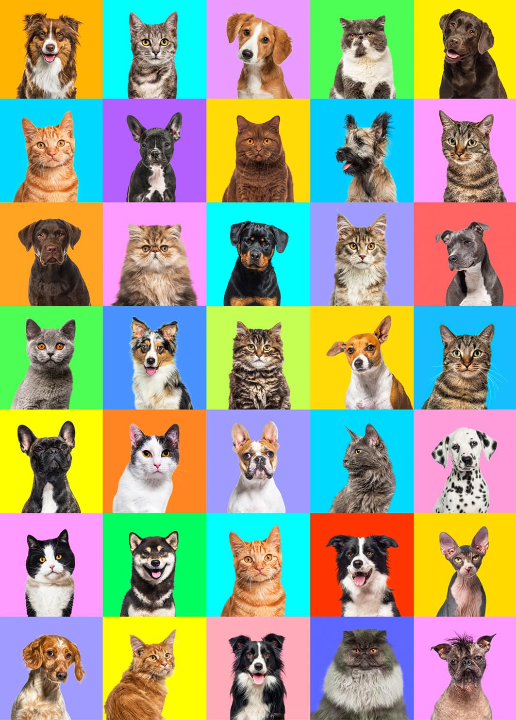 Jigsaw Puzzles For Adults 1000 Piece Puzzle For Adults 1000 Pieces Puzzle 1000 Pieces-Colourful Pets Collage