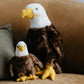 The Petting Zoo Bald Eagle Stuffed Animal, Gifts For Kids, Wild Onez Zoo Animals, Bald Eagle Plush Toy 12 Inches
