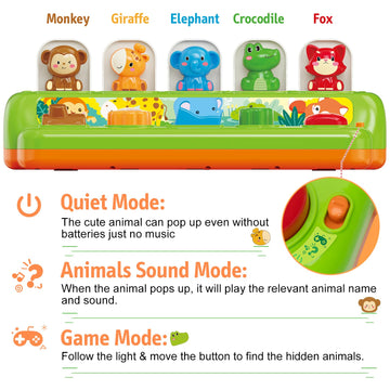 Duchong Interactive Pop Up Toys, Montessori Cause And Effect Toys For 1 Year Old Boy Girl, Early Learning Toys With Music & Ligh