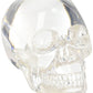Clear Translucent Skull Collectible Figurine