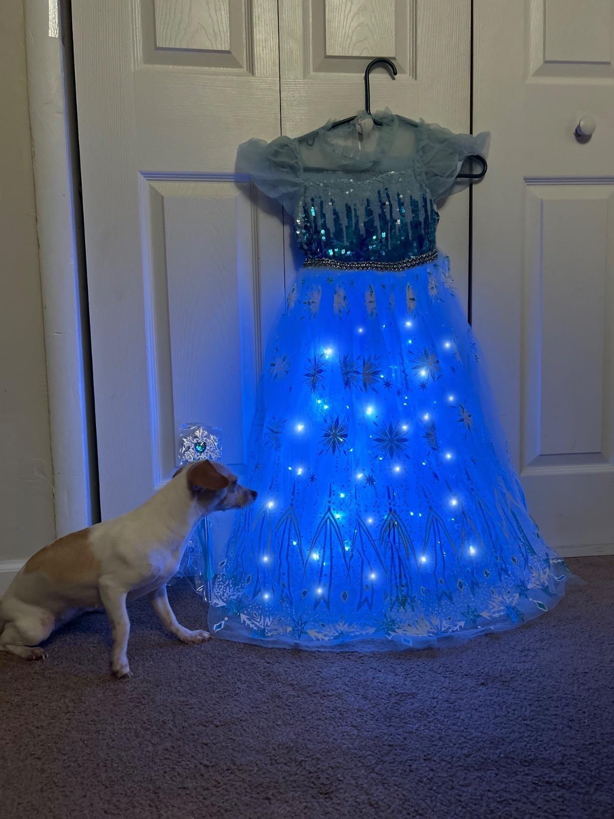 Hulaha Girls Elsa Costume Light Up Dress Kids Elsa Costume Snow Led Dress Up Costume 9-10Years