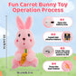 Emoin Bunny Plush Baby Toys, Singing Dancing 9'' Bunny Stuffed Animal, Interactive Rabbit Plush Crying Bunny Don'T Take His Carr