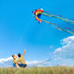 Huge Rainbow Delta Kites For Kids And Adults-60 Wide With 9.5' Long Tail- Easy Flyer - Kit Line And Swivel Included- Good For Outdoor Games And Summer The Beach Toys For Kids