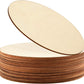 American Elm 12 Pieces 9 Inch Unfinished Wooden Circles, Wooden Cutouts Natural Round Wood Slices For Diy Wood Craft, Door Hange