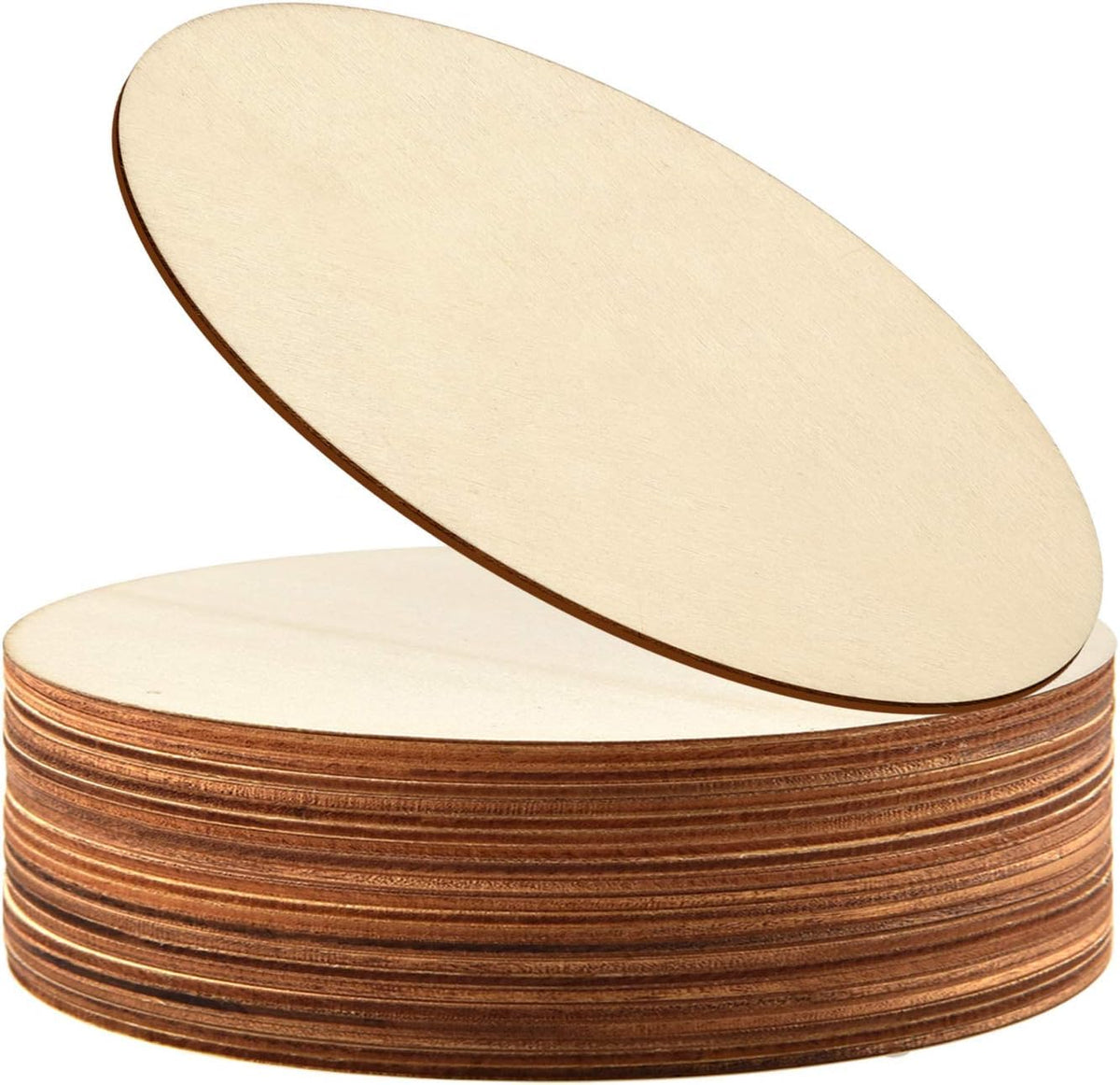 American Elm 12 Pieces 9 Inch Unfinished Wooden Circles, Wooden Cutouts Natural Round Wood Slices For Diy Wood Craft, Door Hange