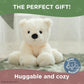 Bearington Everest The Polar Bear Plush, 10.5 Inch Polar Bear Stuffed Animal
