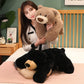 Ronivia Weighted Stuffed Animals, 29.5'' 6.2Lbs Weighted Bear Stuffed Animal Toy Cute Black Bear Plush Pillow Weighted Plush Ani
