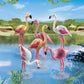 Playmobil Flock Of Flamingos Building Kit