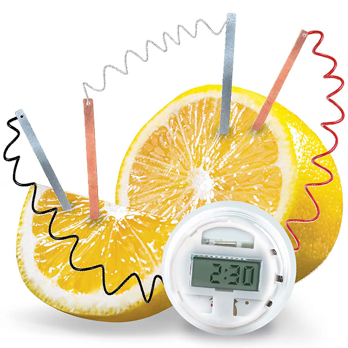 4M Kidzlabs Lemon Powered Clock, Chemical Electrical Science Lab Experiment - Stem Toys Educational Gift For Kids & Teens, Girls & Boys 12 Count (Pack Of 1)