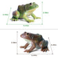 Scahow Realistic Tree Frog Figure Plastic Hand Painted Bullfrog Figurine Educational Rubber Animal Model Toys For Kids Children