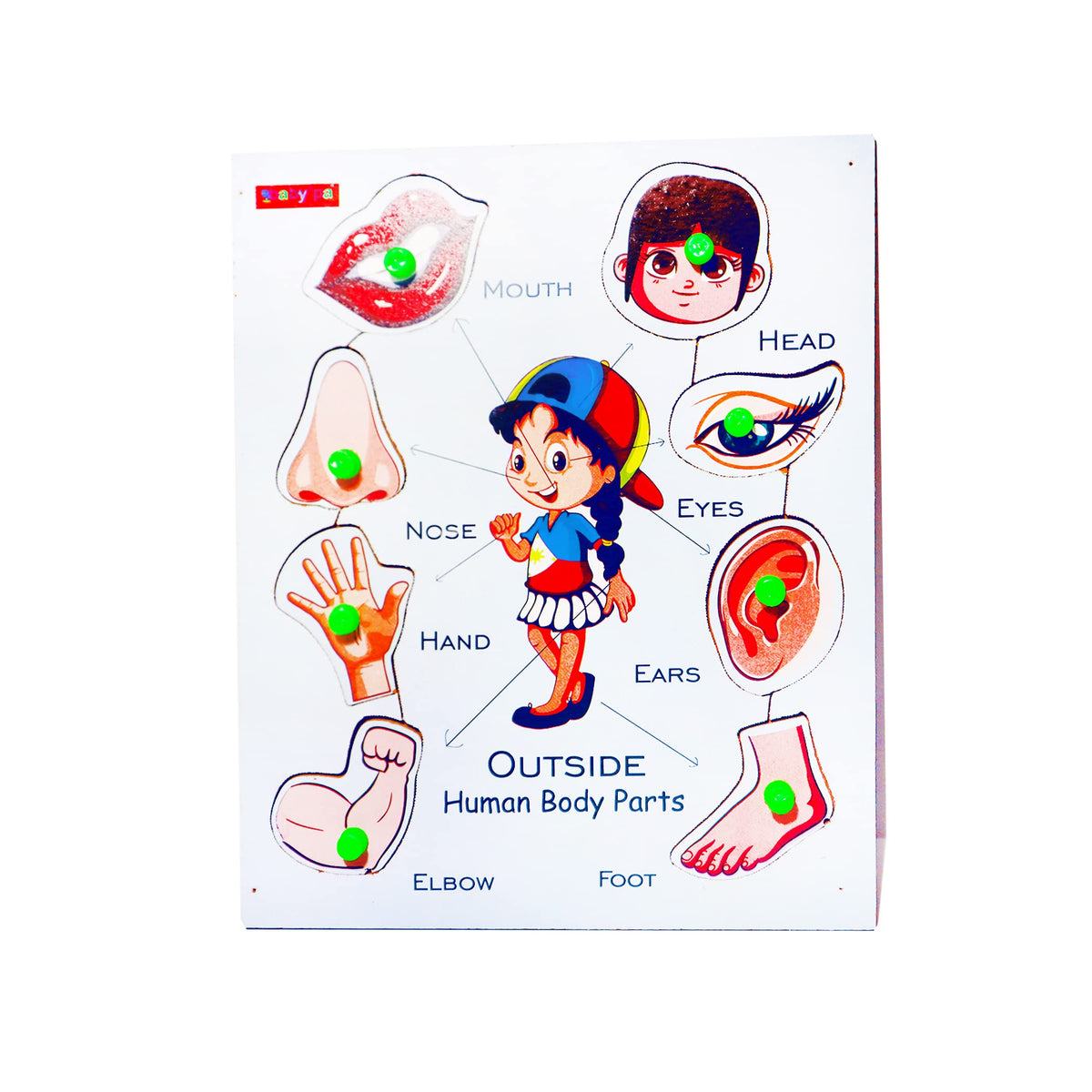 stylein Wooden Body Parts Puzzle for Kids
