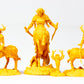 Steamforged Games Godtear Champions Set - Kailinn, The Fury of The Forest, Mixed Colours, Cardboard, Model SFGT-029