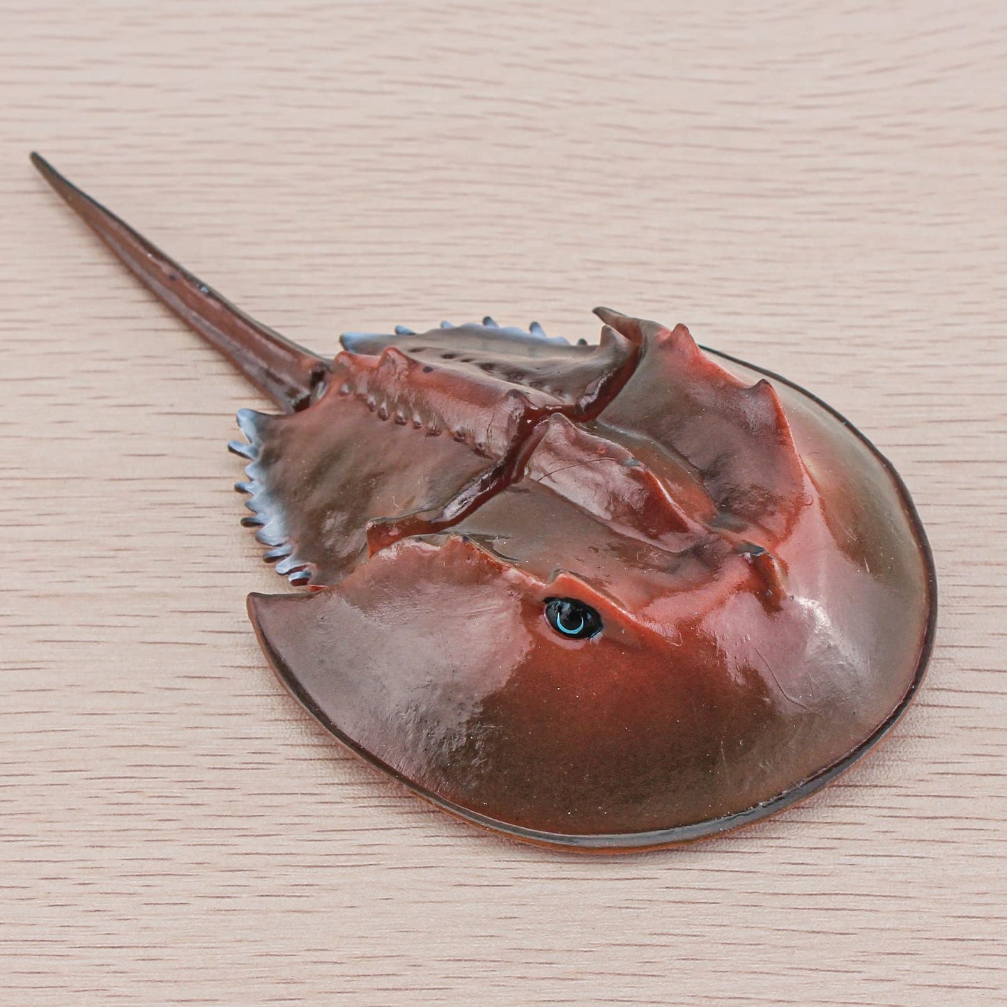 Lc Joycre Plastic Crab Toy Horseshoe Crab Figurine 7 Inch Sea Creatures Toys For Kids Crab Decor For Collection Realistic Sea Li