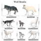 Rcomg 8Pcs Wolf Toy Figures, Realistic Wild Animal Wolf Figurines Plastic Jungle Forest Animal Toys Figurines For Kids Boys Girls