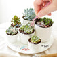 WOZADU 300 PCS Tiny Snakes for Crafts Mini Resin Snakes Dollhouse Miniatures Mini Animals for Fairy Garden Micro Landscaping Decoration
