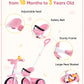 KRIDDO Kids Tricycle 2 in 1 with Push Handle, EVA Wheels, Pink, for Toddlers 18 Months to 3 Years, Small, Carbon Steel