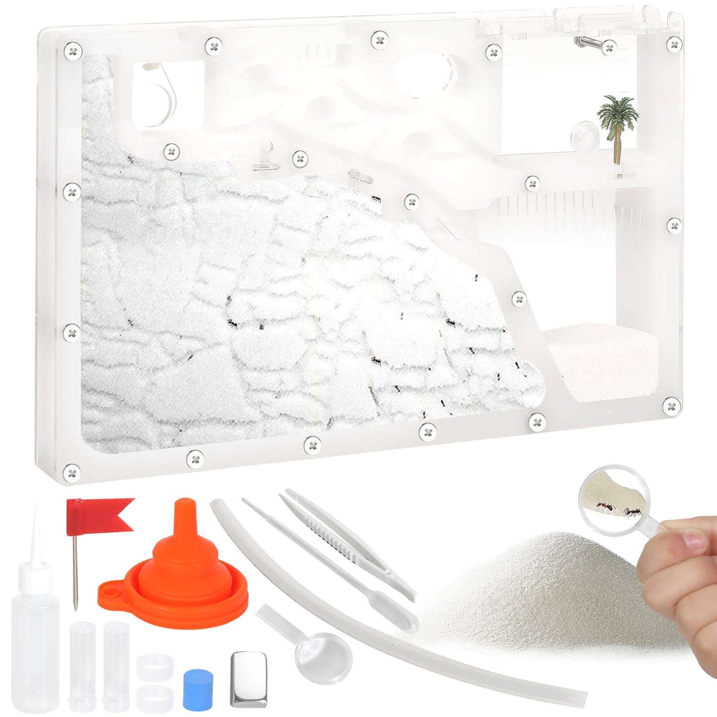 Blevla Ant Farms with Connections  Ant Farms for Kids & mature-themed  Live Ants for Ant Farm Educational Science DIY Toy Kit - STEM Learning Toy - Great Gifts for Boys & Girls (Rectangle)