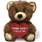 Zamnnn Shawty U Hella Fine - 10'' Teddy Bear & Gift Bag - Funny Stuffed Animal Plush Gift For Girlfriend, Boyfriend, Best Friend