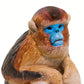 Safari Ltd. Snub Nosed Monkey Figure - Realistic 2.5" Educational Toy for Kids - Multicoloured - Model S100321