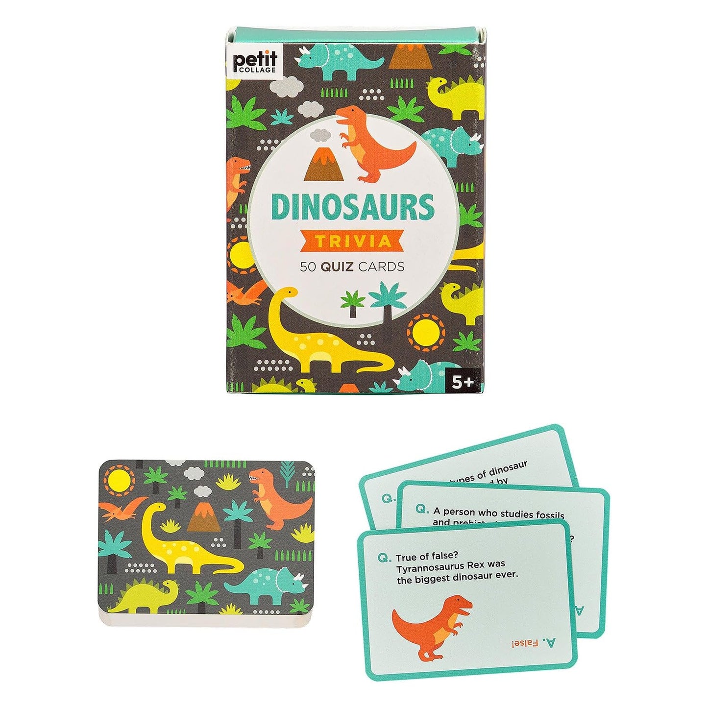 Petit Collage Dinosaurs Trivia Quiz Cards – Fun Card Game For Kids, Kids Trivia Game For Ages 5+ – Includes 50 Dinosaur-Themed Quiz Cards – Perfect For Family Fun