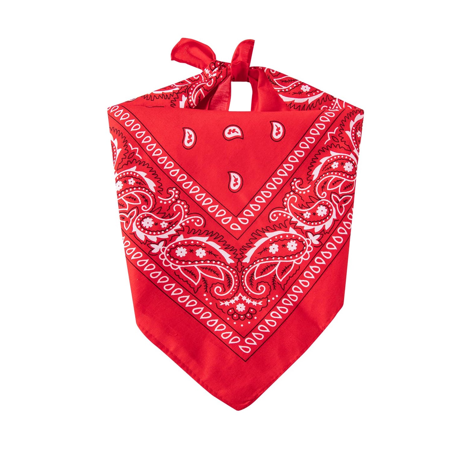 InBakjade Pioneer Boy Costume Villager Boys Cosplay Costume Halloween for Kids(L)