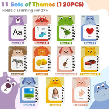 beiens Toddler Talking Flash Cards - 240 Sight Words, Speech Therapy, Educational, Model ZN37, for Ages 2-6, Paper Material