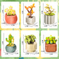 BNG Succulent Flowers Building Set mature-themed Botanical Collection for Office Home Decor Plants Bonsai Building Toys and Great Gift for Women Girls 6+(520 Pieces)