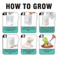 Hamiface Crystal Growing Dinosaur, Crystal Growing Kit Kids Age 8-12, Grow Your Own Crystal Dinosaur Terrarium Kit, Science Expe