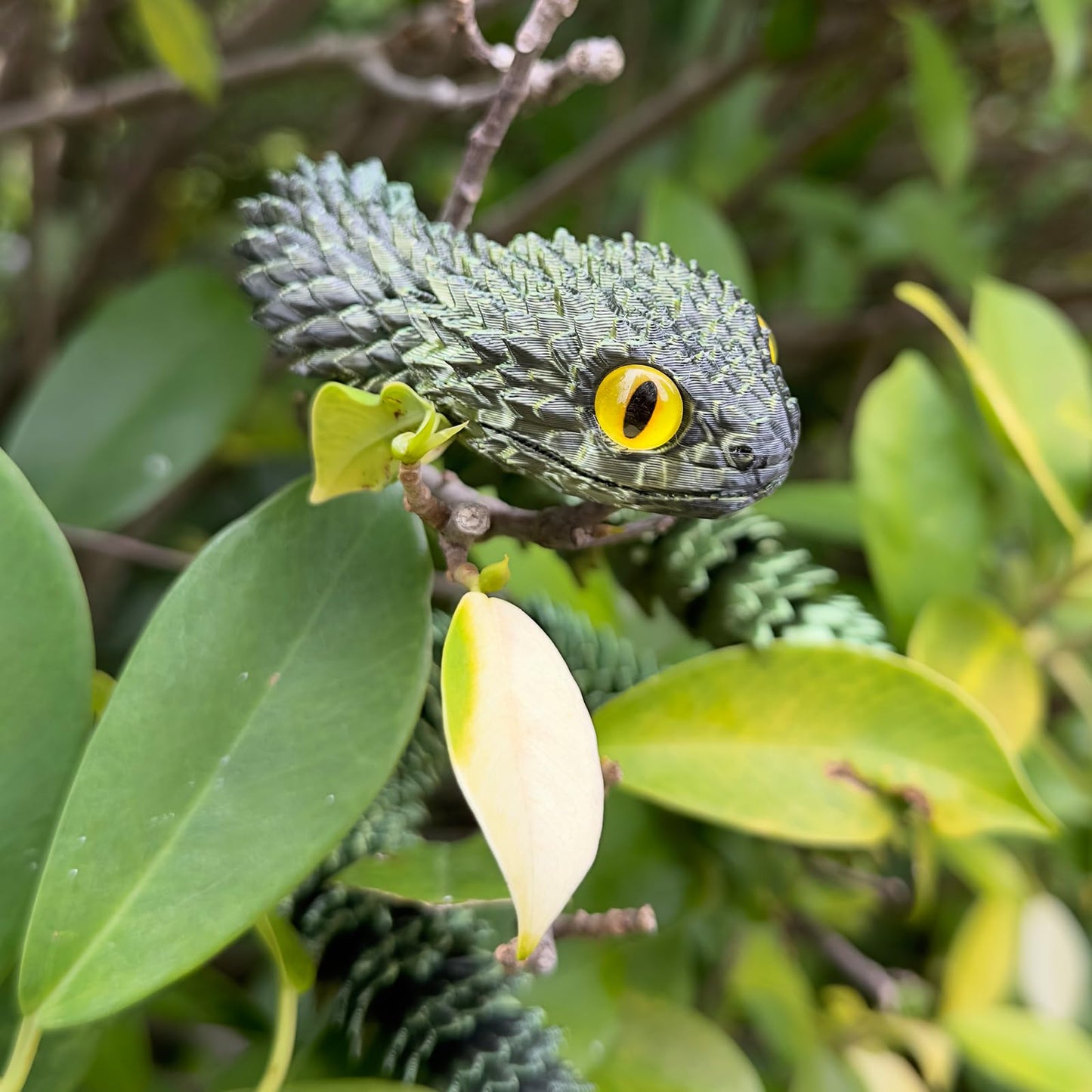 3D Printed Snake Toys,Articulated Flexible 3D Printed Viper Fidget Toy,Realistic Slithering Design, Collectible Articulated Mode