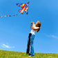 SNJOYFUL Air Kites for Kids and mature-themed  Huge Kite Easy to Fly  59 Beach Travel Beginner Kites for Kids Ages 4-8  Comes with 118 Colourful Tail
