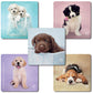 SmileMakers Rachael Hale Dogs Stickers Hypoallergenic, Latex Free